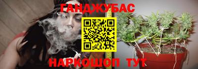 СК Моздок