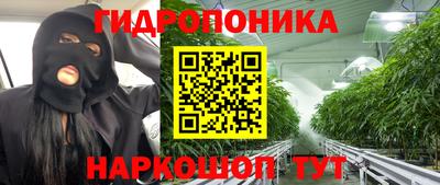 apvp Можга