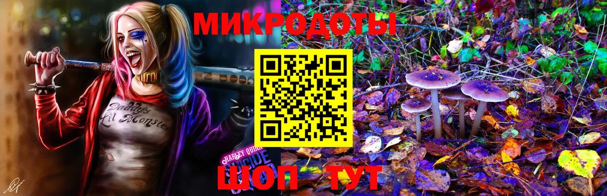 Якутск  Псилоцибиновые грибы Psilocybe  Вход с VPN 